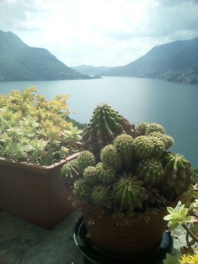Casa Del Borgo Villa Pognana Lario ภายนอก รูปภาพ